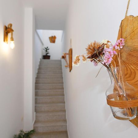 City Nest Szkodra Zewnętrze zdjęcie